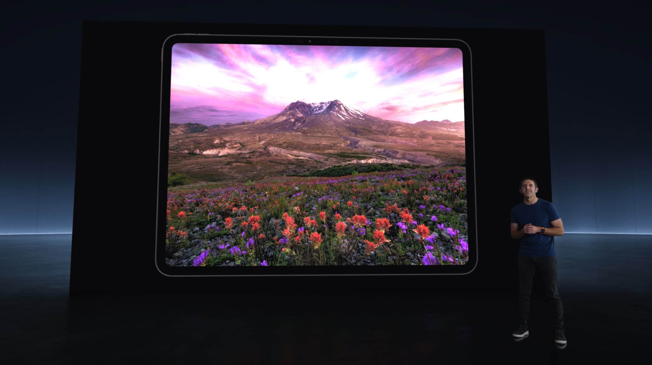 iPad Pro vs Air 10 mini 7 display